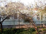 ул. Конотопская (г. Сумы, Ковпаковский район) - Продається будинок, 20000 $ - АФНУ
