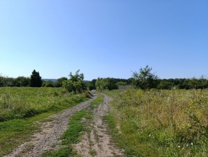 ул. Лісова (с. Червоная Зирка, Хмельницкий район) - Продається сільськогосподарська ділянка, 40000 $ - АФНУ